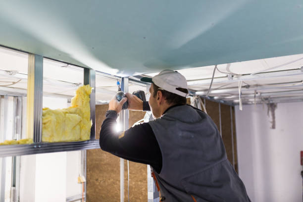 Best Types of Insulation in Castroville, TX